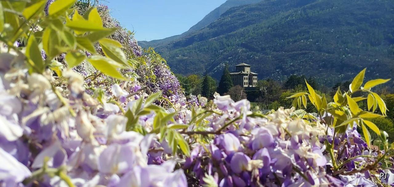 Lo Gnomo Sotto Al Glicine Daire Châtillon Dış mekan fotoğraf