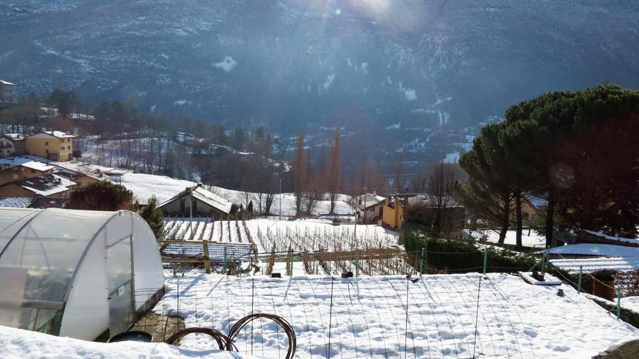 Lo Gnomo Sotto Al Glicine Daire Châtillon Dış mekan fotoğraf